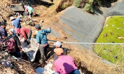 Habrá responsables por 100 perritos muertos en Amecameca